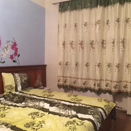 Apartment Blue Rose *
