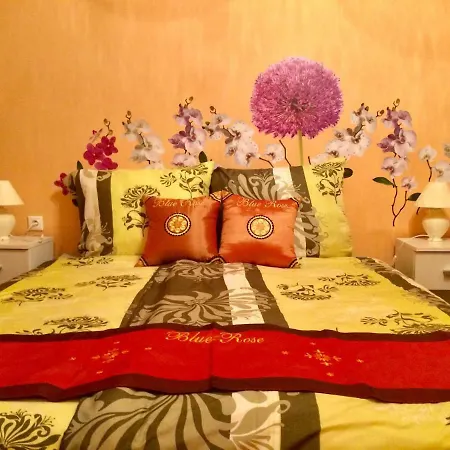 Blue Rose Apartman Karlovy Vary